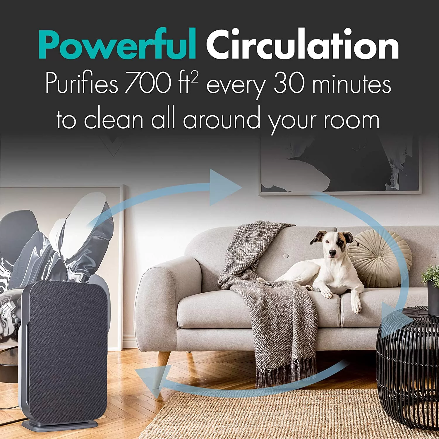 Alen BreatheSmart Flex 4-Speed Ionic Gray True HEPA Air Purifier ENERGY STAR (Covers: 700-sq ft)