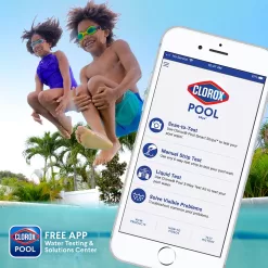 Clorox Pool&Spa 12-lb 3-in Chlorine Tablets