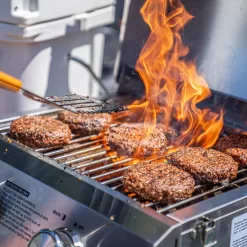 Monument Stainless Steel 2-Burner Liquid Propane Gas Grill
