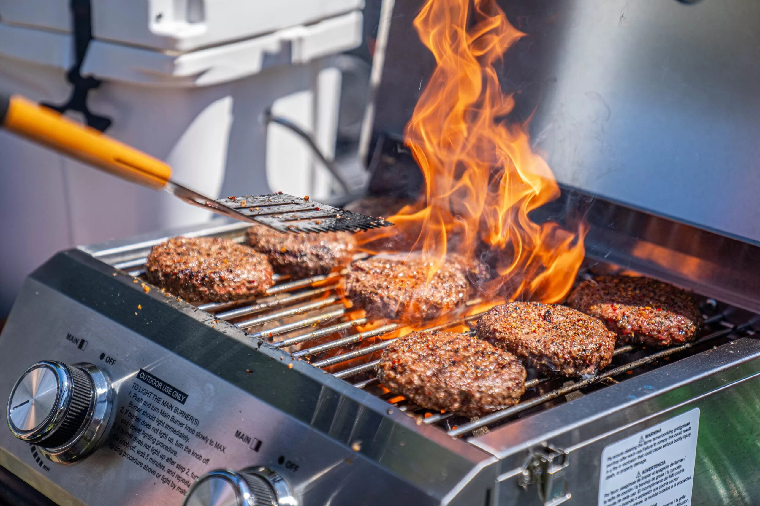 Monument Stainless Steel 2-Burner Liquid Propane Gas Grill