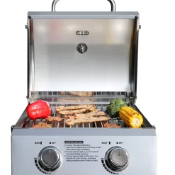 Monument Stainless Steel 2-Burner Liquid Propane Gas Grill