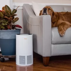 Crane 3-Speed White True HEPA and Uv Air Purifier (Covers: 300-sq ft)