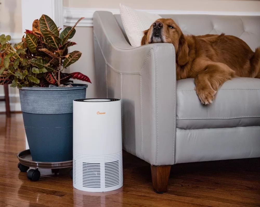 Crane 3-Speed White True HEPA and Uv Air Purifier (Covers: 300-sq ft)