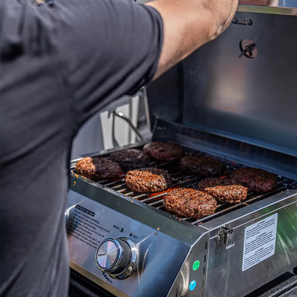 Monument Stainless Steel 2-Burner Liquid Propane Gas Grill