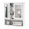 TaoHFE Medicine Cabinet, Medicine Cabinets for Bathroom