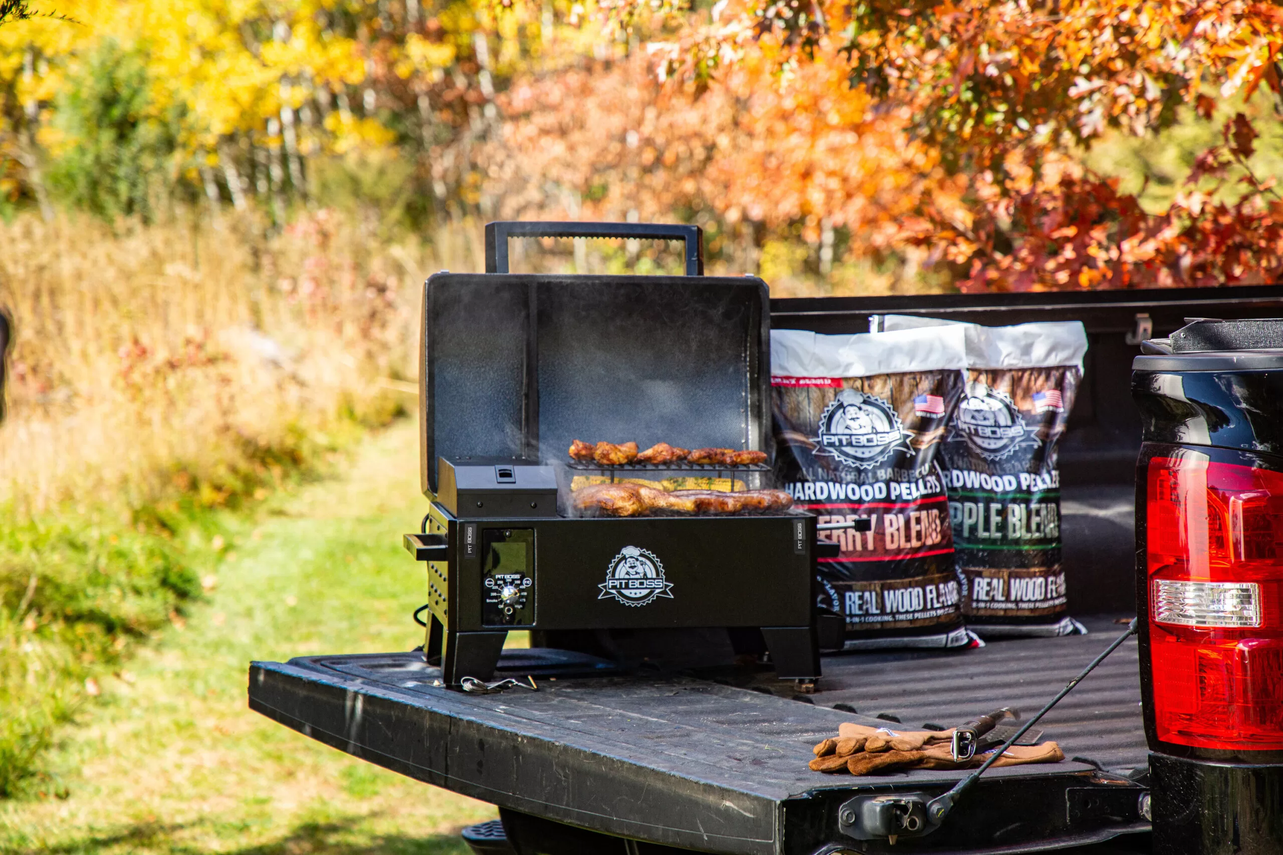 Pit Boss Portable 256-Sq in Black Pellet Grill