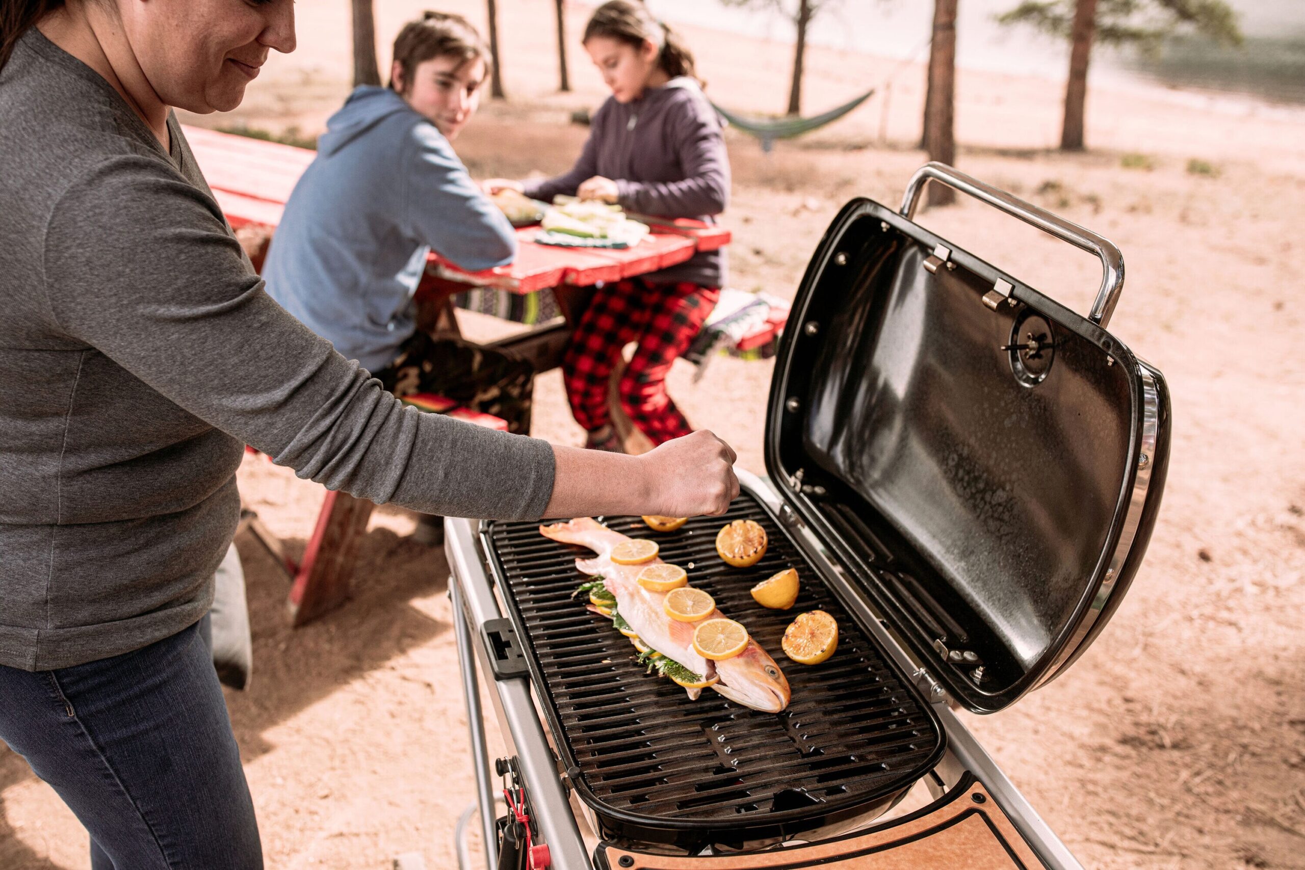 Weber Traveler 320-Sq in Gray Portable Gas Grill - Image 11