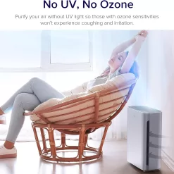 LEVOIT Air Purifiers for Home Large Room, HEPA Filter Cleaner, Grey