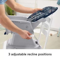 Fisher-Price Baby SpaceSaver Simple Clean High Chair Baby to Toddler Portable Dining Seat