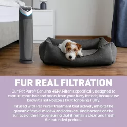 GermGuardian Air Purifier with HEPA 13 Pet Filter, Removes 99.97% of Pollutants, 28