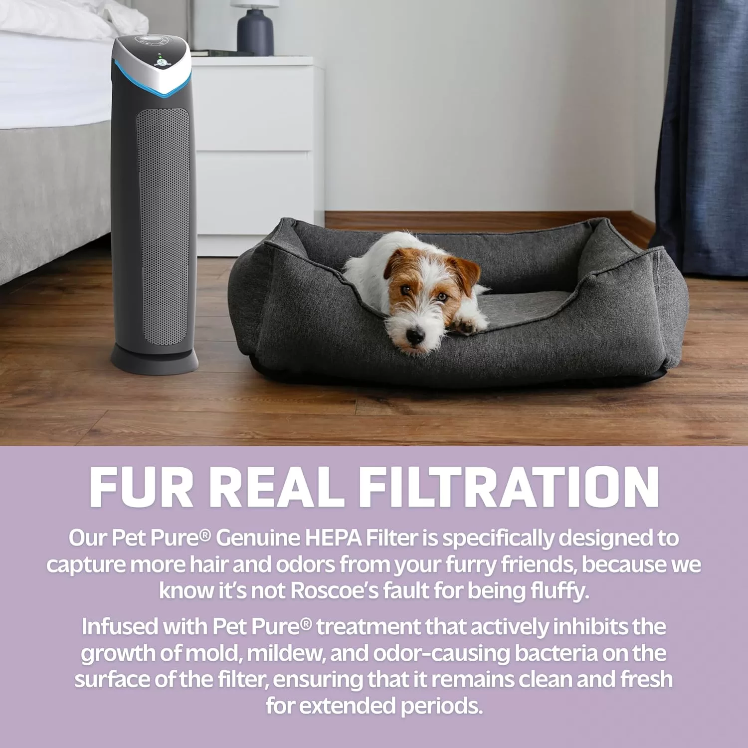 GermGuardian Air Purifier with HEPA 13 Pet Filter, Removes 99.97% of Pollutants, 28", Gray, AC5250PT