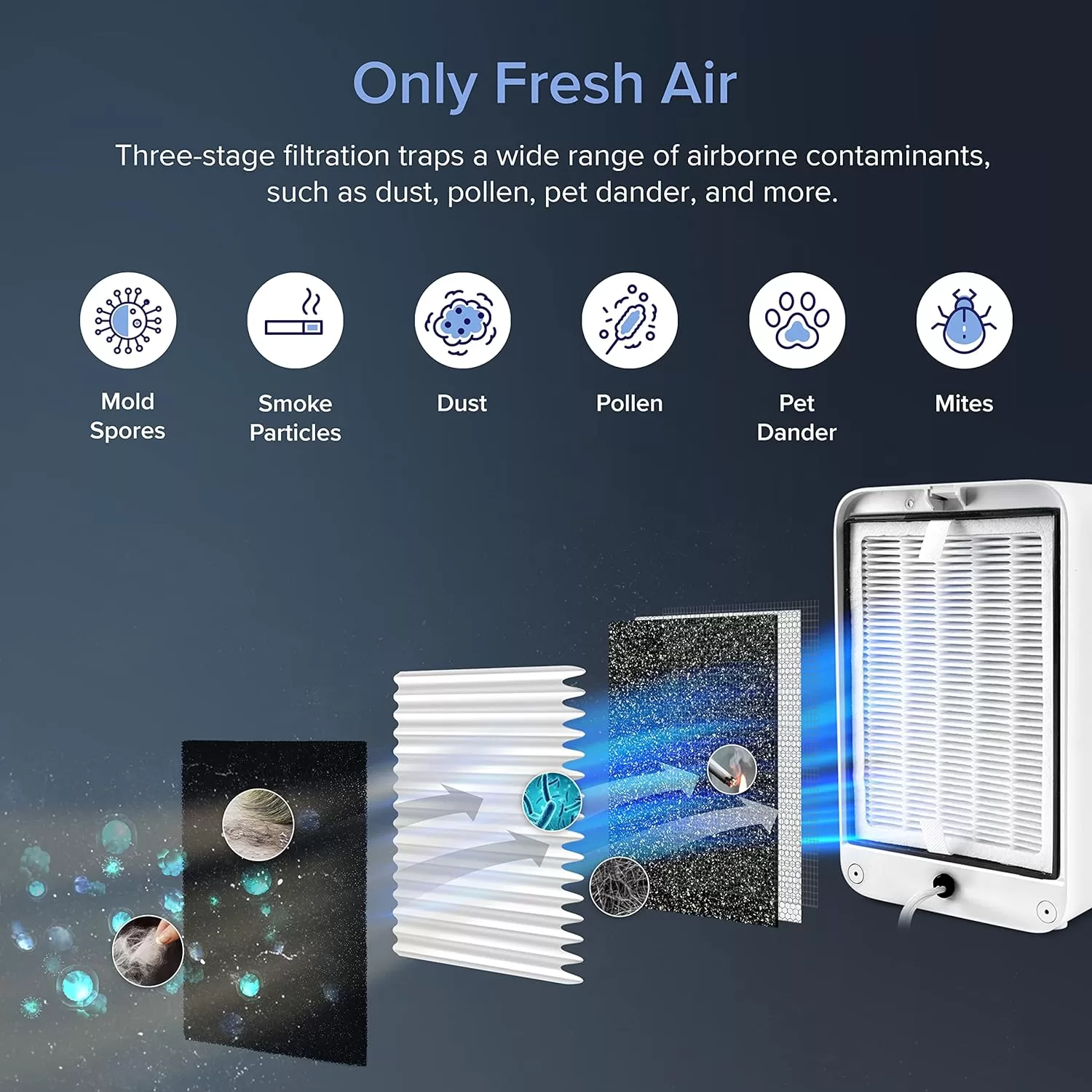LEVOIT Air Purifiers for Bedroom Home, HEPA Freshener Filter Small Room for Smoke, Blue