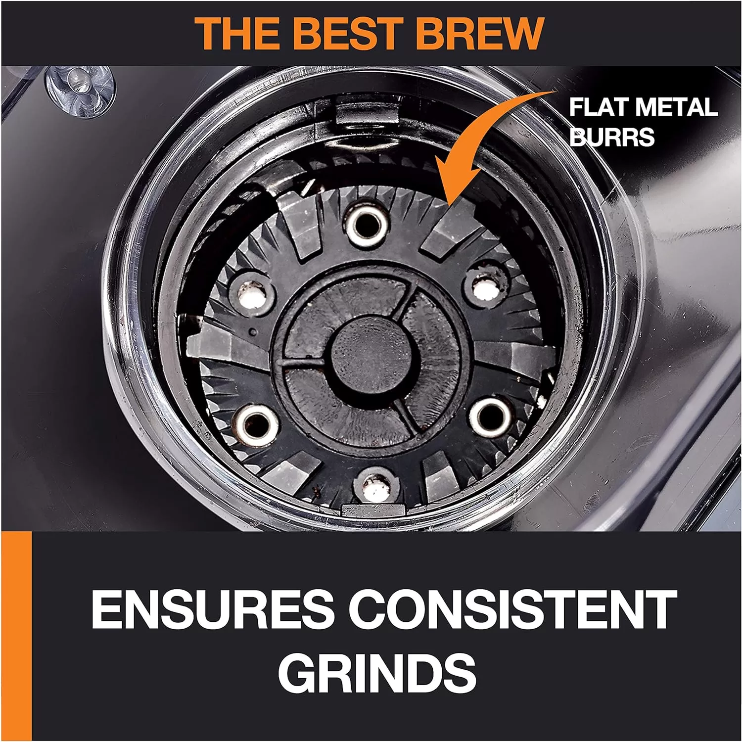 Krups Precision Plastic and Stainless Steel Flat Burr Grinder 12 Cup 110 Watts 12 Grind Settings, Cold Brew Black