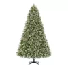 Home Accents Holiday 23PG90019 7.5 ft. Pre-Lit LED Sparkling Amelia Frosted Pine Artificial Christmas Tree