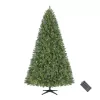 Home Accents Holiday 23PG90042 7.5 ft. Pre-Lit LED Wesley Pine Artificial Christmas Tree
