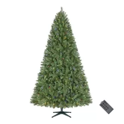 Home Accents Holiday 23PG90042 7.5 ft. Pre-Lit LED Wesley Pine Artificial Christmas Tree