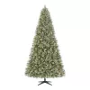 Home Accents Holiday 23PG90080 9 ft. Pre-Lit LED Sparkling Amelia Frosted Pine Artificial Christmas Tree