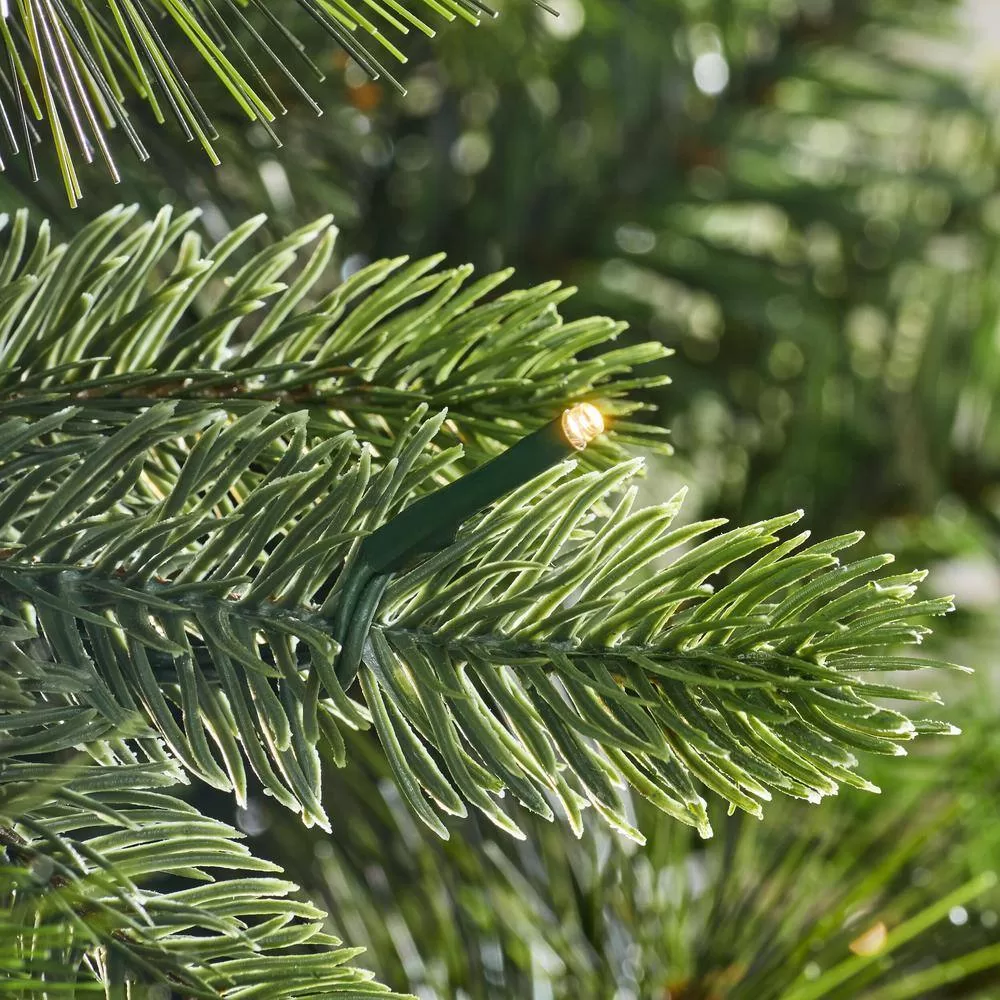 Home Accents Holiday 23PG90123 9 ft. Pre-Lit LED Westwood Fir Artificial Christmas Tree
