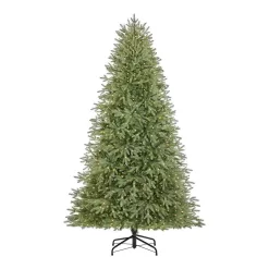 Home Accents Holiday W14N0202 7.5 ft. Pre-Lit LED Jackson Noble Artificial Christmas Tree