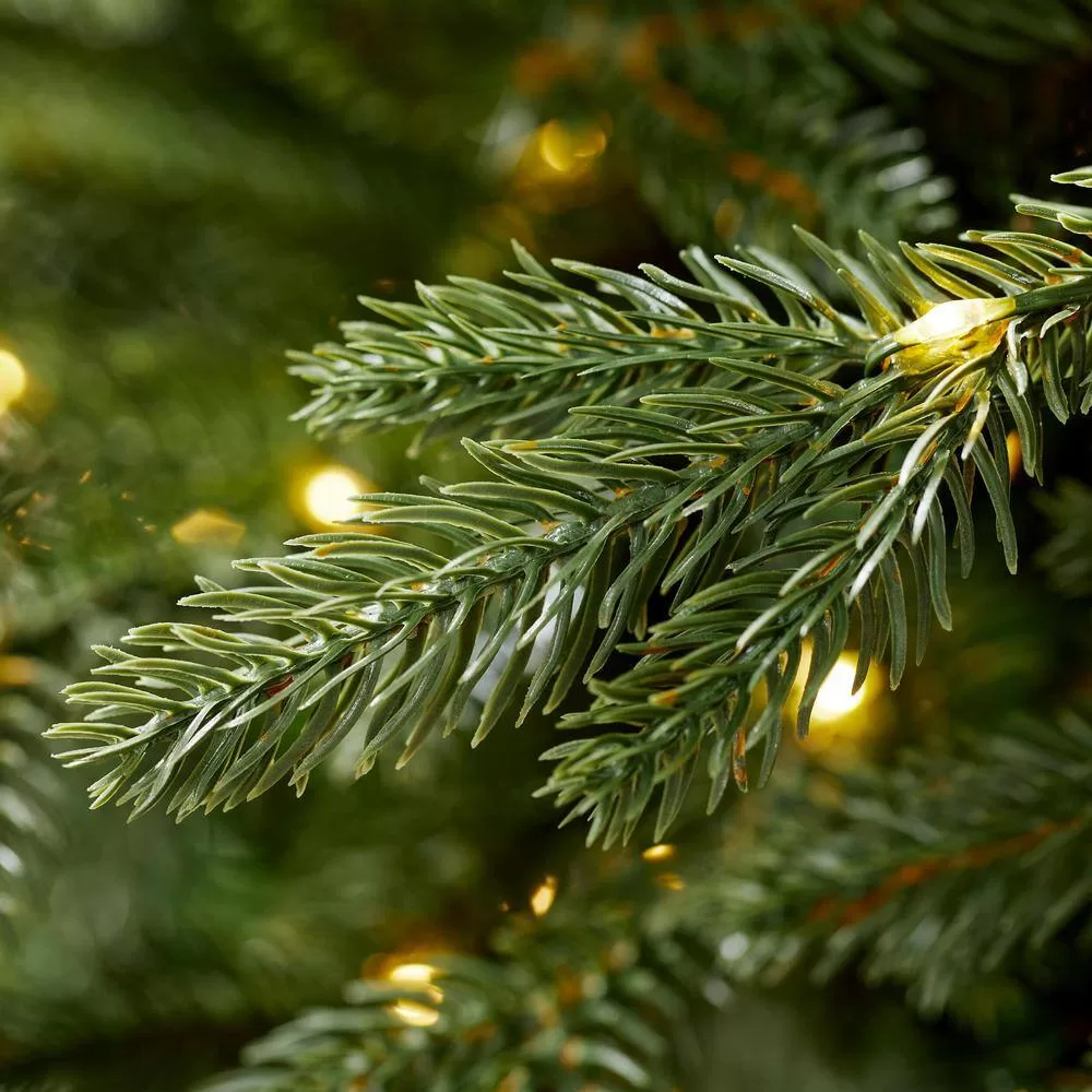 Home Accents Holiday W14N0202 7.5 ft. Pre-Lit LED Jackson Noble Artificial Christmas Tree