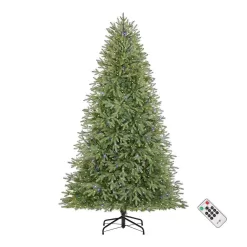 Home Accents Holiday W14N0202 7.5 ft. Pre-Lit LED Jackson Noble Artificial Christmas Tree