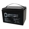 MIGHTY MAX BATTERY ML125-121 12-Volt 125 Ah Rechargeable Sealed Lead Acid (SLA) Battery