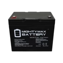 MIGHTY MAX BATTERY ML75-12INT 12-Volt 75 Ah Rechargeable Sealed Lead Acid (SLA) Internal Thread Battery
