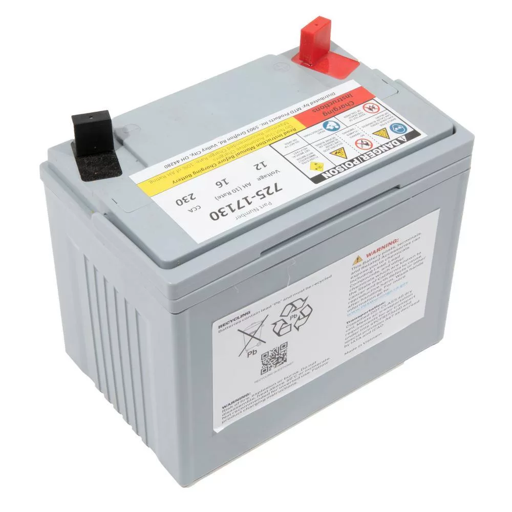MTD Genuine Factory Parts 725P17130 Replacement 12-Volt 16 Ah 230 CCA Sealed AGM Riding Lawn Mower Battery