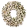 National Tree Company PESL3-300T-24WS 24 in. Snowy Sheffield Spruce LED Artificial Christmas Wreath with Twinkly Lights