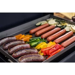 Nexgrill 720-1075B Daytona 2-Burner 21 in. Propane Gas Griddle with Foldable Cart in Black