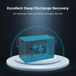 Renogy BATT-AGM12-100 Deep Cycle AGM Battery 12-Volt 100Ah Safe Charge Most Home Appliances for RV, Off-Grid Solar System, Maintenance-Free