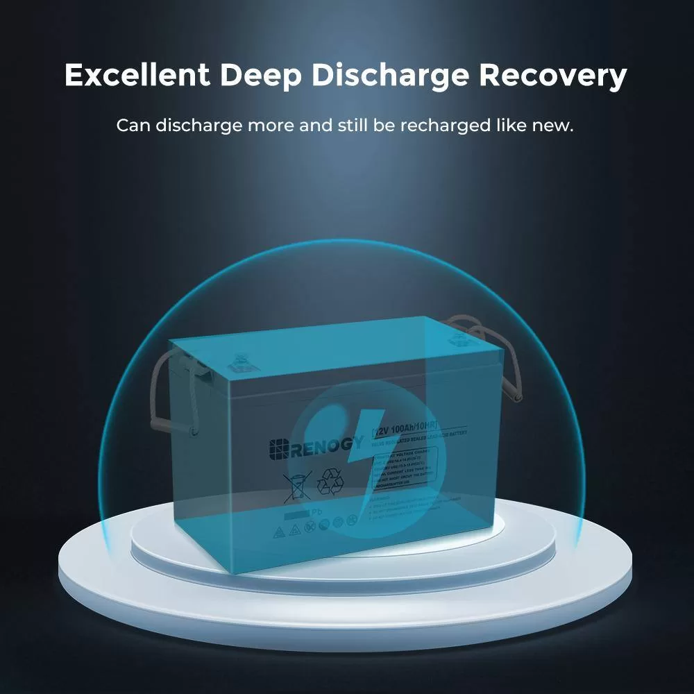 Renogy BATT-AGM12-100 Deep Cycle AGM Battery 12-Volt 100Ah Safe Charge Most Home Appliances for RV, Off-Grid Solar System, Maintenance-Free