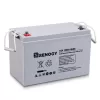 Renogy BATT-AGM12-100 Deep Cycle AGM Battery 12-Volt 100Ah Safe Charge Most Home Appliances for RV, Off-Grid Solar System, Maintenance-Free