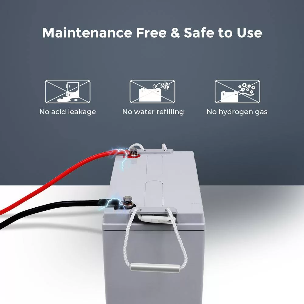 Renogy RBT100AGM12B Deep Cycle AGM Battery 12-Volt 100Ah w/ Box Safe Charge Most Home Appliances for Off-Grid Solar System, Maintenance-Free