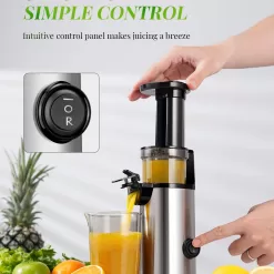 Compact GDOR Masticating Juicer, Brush Included, 20 Oz Juice Cup, BPA-Free, Sliver