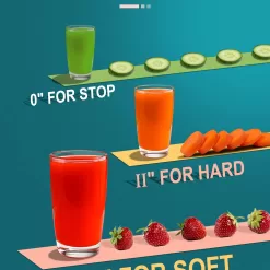 Powerful 3-Speed Juicer for Whole Fruits and Vegetables