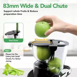 Aeitto Cold Press Whole Vertical Juicer, Slow Masticating, High Yield, BPA-Free, Black