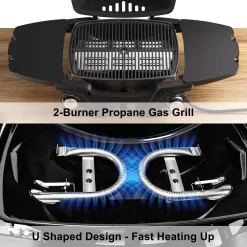 Portable Propane Gas Grill, 2-Burner Portable Gas Grill Small Tabletop Gas Grill, 24000BTU, Black