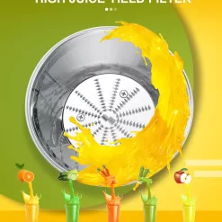 Powerful 3-Speed Juicer for Whole Fruits and Vegetables