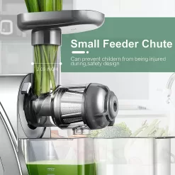 Aobosi Slow Masticating Cold Press Juicer, Quiet Motor, High Yield, Juice Jug & Brush, Gray