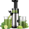 Compact GDOR Masticating Juicer, Brush Included, 20 Oz Juice Cup, BPA-Free, Sliver