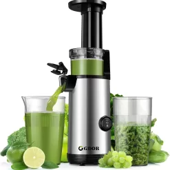 Compact GDOR Masticating Juicer, Brush Included, 20 Oz Juice Cup, BPA-Free, Sliver