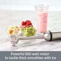 All-Clad Electrics Stainless Steel Immersion Blender 2 Piece Turbo Function 600 Watts Detachable, 9-1/4-inch