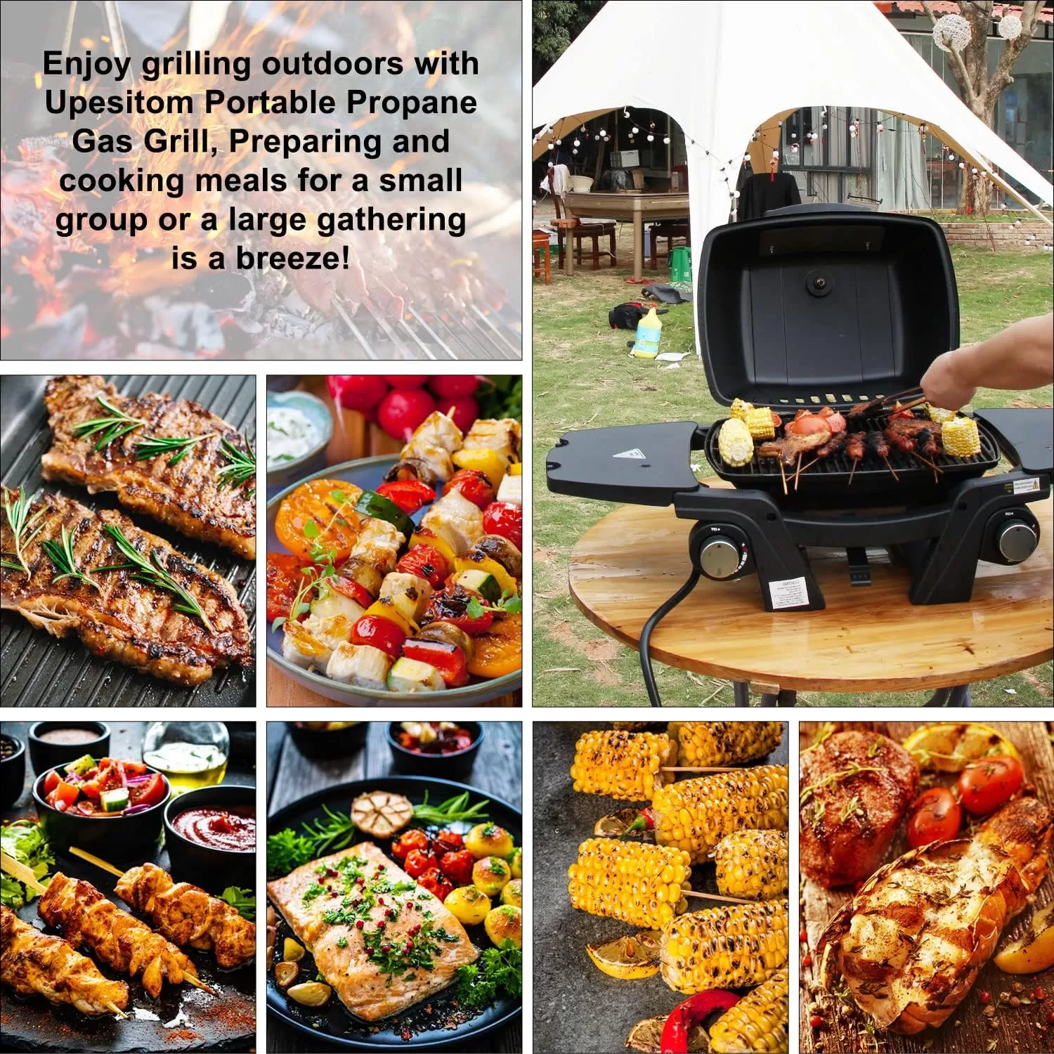 Portable Propane Gas Grill, 2-Burner Portable Gas Grill Small Tabletop Gas Grill, 24000BTU, Black
