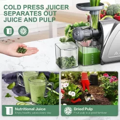 Aobosi Slow Masticating Cold Press Juicer, Quiet Motor, High Yield, Juice Jug & Brush, Gray