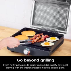 Ninja GR101 Sizzle Smokeless Indoor Grill & Griddle, 14'' Interchangeable Nonstick Plates, Grey/Silver
