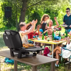 Portable Propane Gas Grill, 2-Burner Portable Gas Grill Small Tabletop Gas Grill, 24000BTU, Black