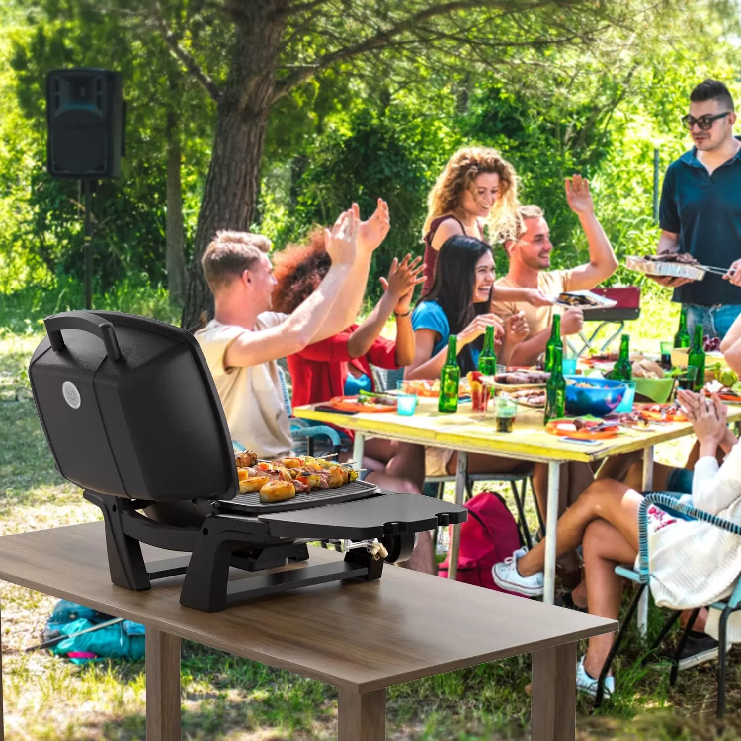 Portable Propane Gas Grill, 2-Burner Portable Gas Grill Small Tabletop Gas Grill, 24000BTU, Black