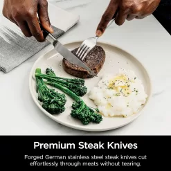 Ninja K32014 Foodi NeverDull Premium Knife System, 14 Piece Knife Block Set, Black