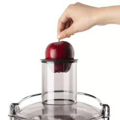 Nutribullet 2-Speed Electric Juicer - Gray